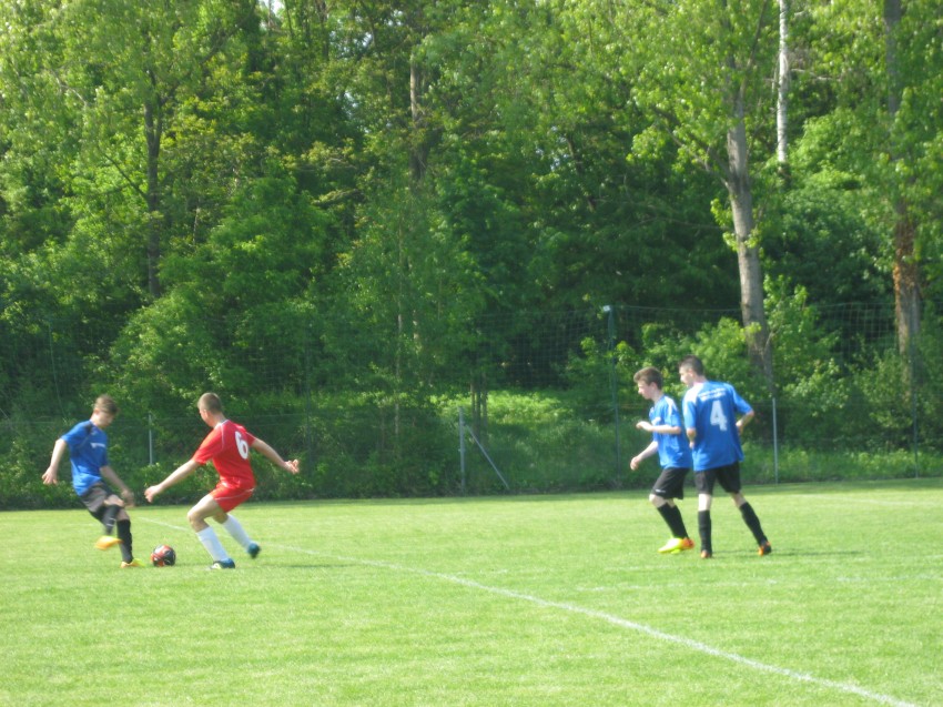 IMG_2732.jpg