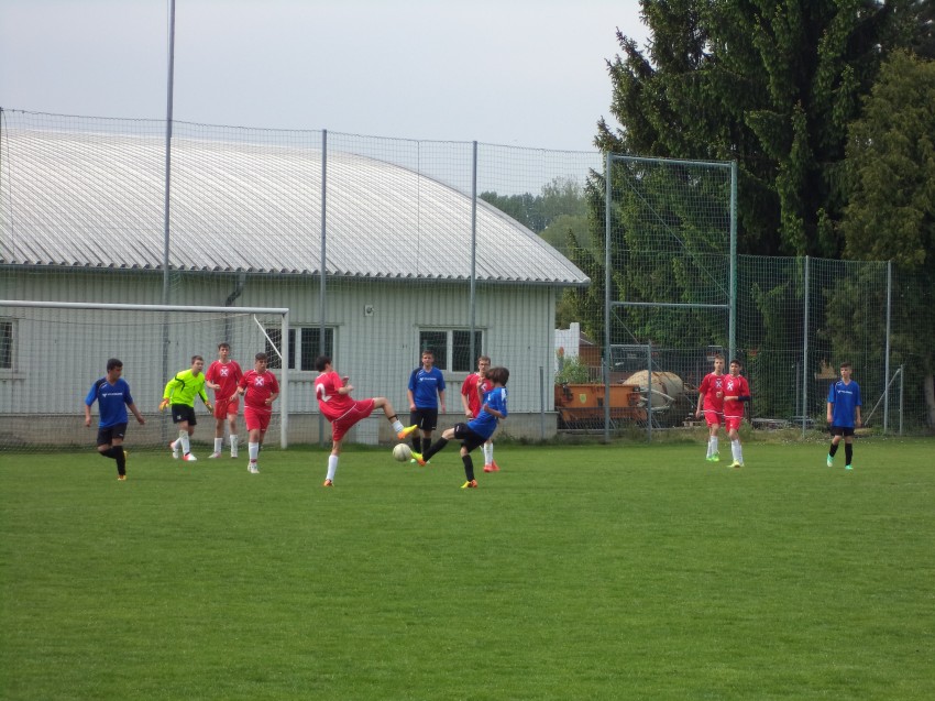 DSC00468.jpg